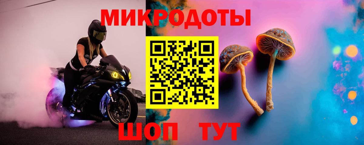 Галлюциногенные грибы мухоморы Татарск